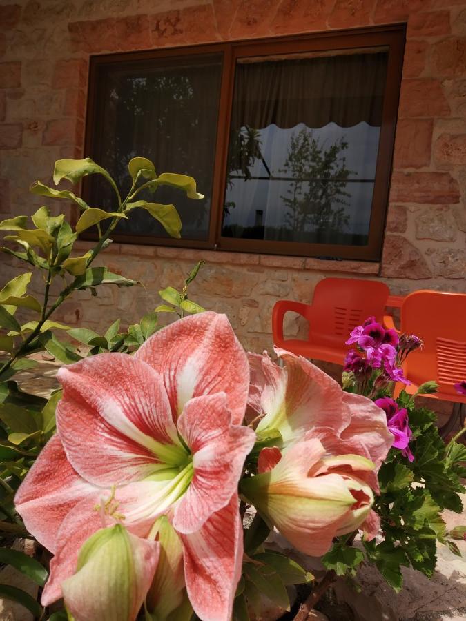 Altin Skrapari Guesthouse Ksamil Exterior foto